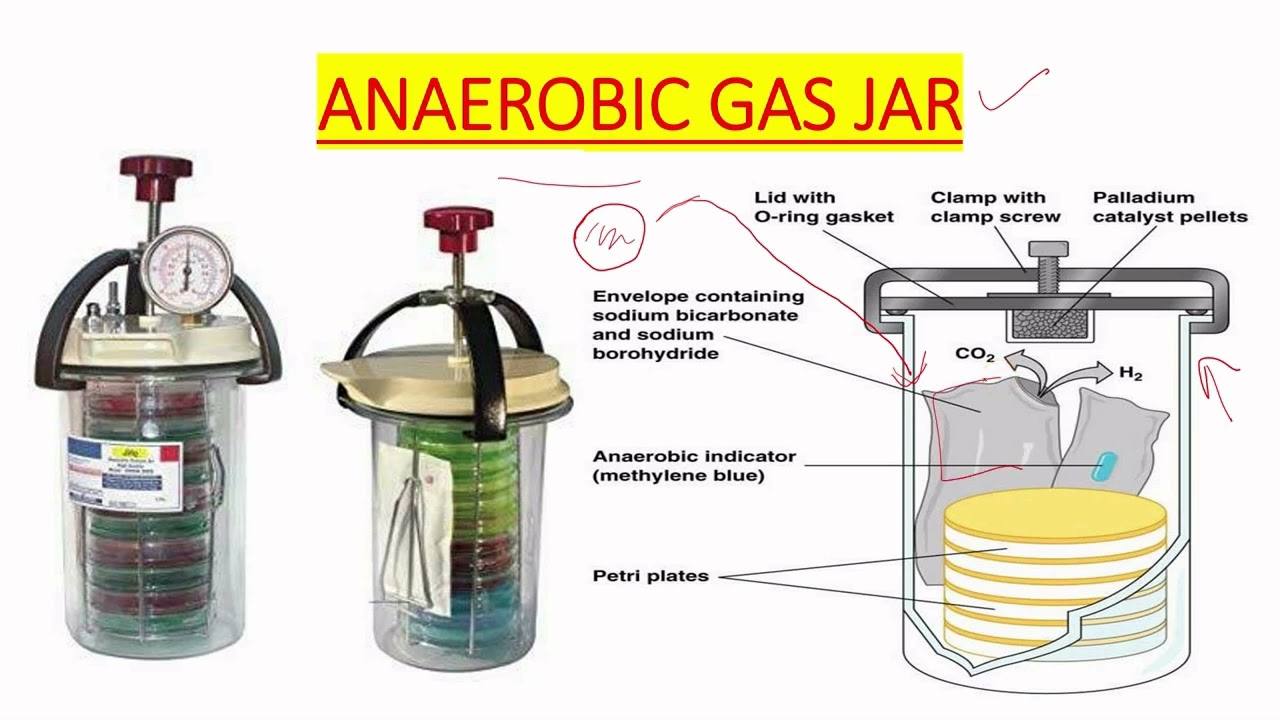جرة الزراعة اللاهوائية (Anaerobic Gas Jar)