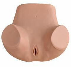صورة محاكي تدريب نسائي (Gynecological Training Simulator) - واقف للتجارة صنعاء