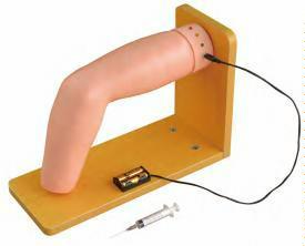 صورة مجسم البزل القطني (Lumbar Puncture Model) - واقف للتجارة صنعاء